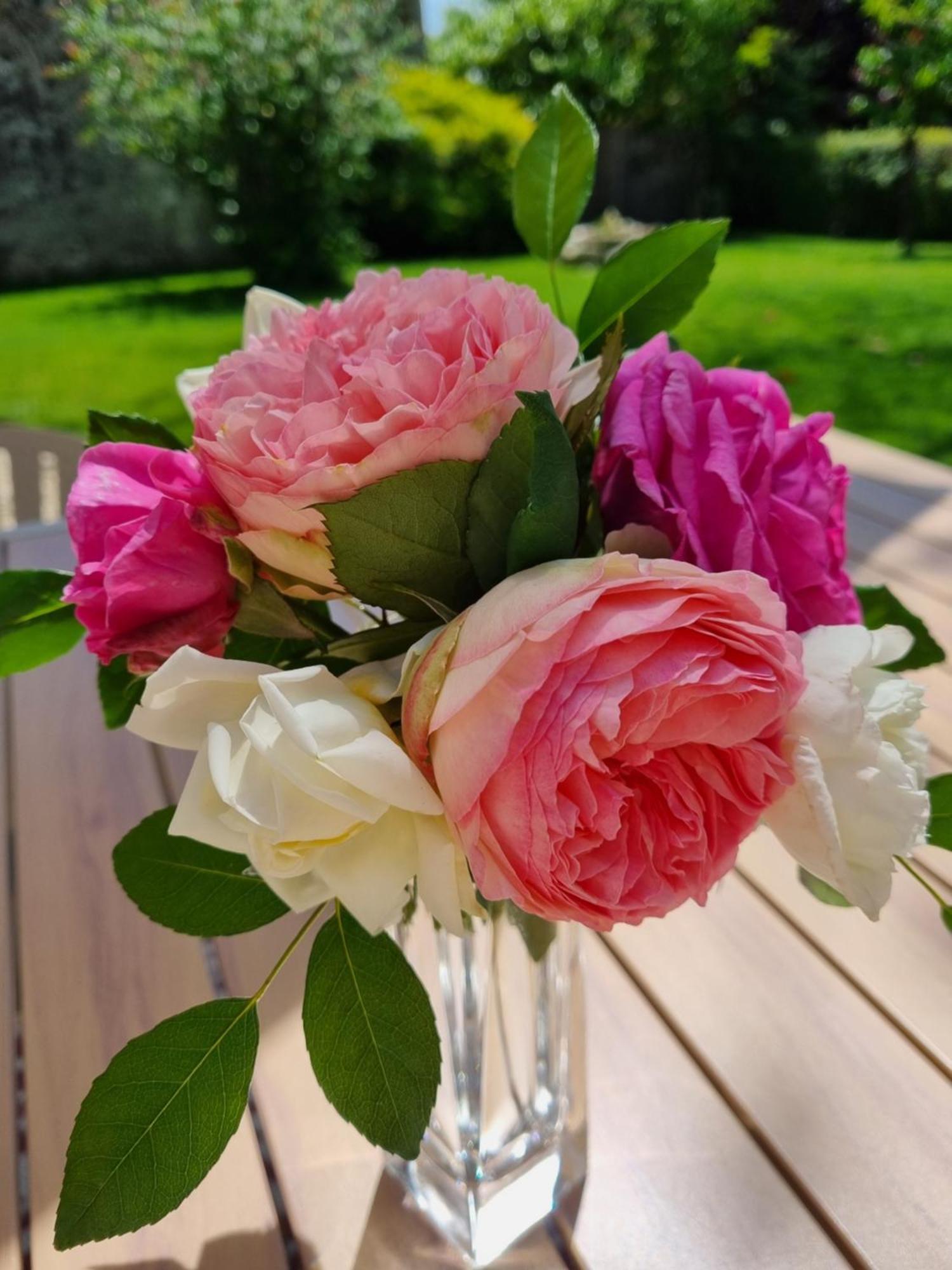 L'Esprit Du 24 Bed & Breakfast Rouffignac-de-Sigoules Екстериор снимка