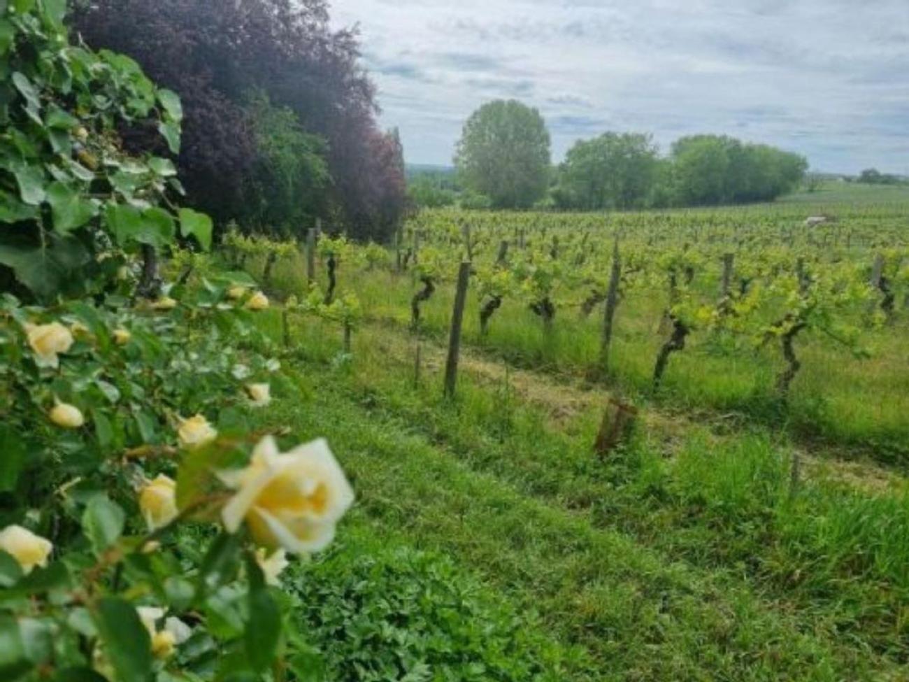 L'Esprit Du 24 Bed & Breakfast Rouffignac-de-Sigoules Екстериор снимка